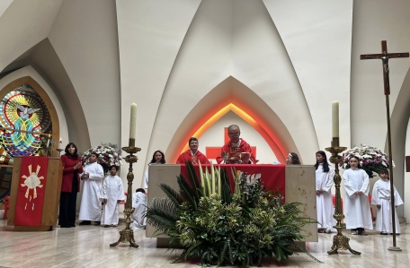 Domingo ramos