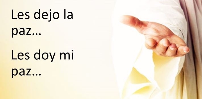 IMAGEN